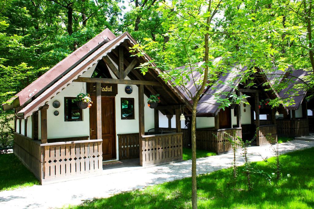 Cornul Vanatorului Bungalows Pitesti Exterior photo