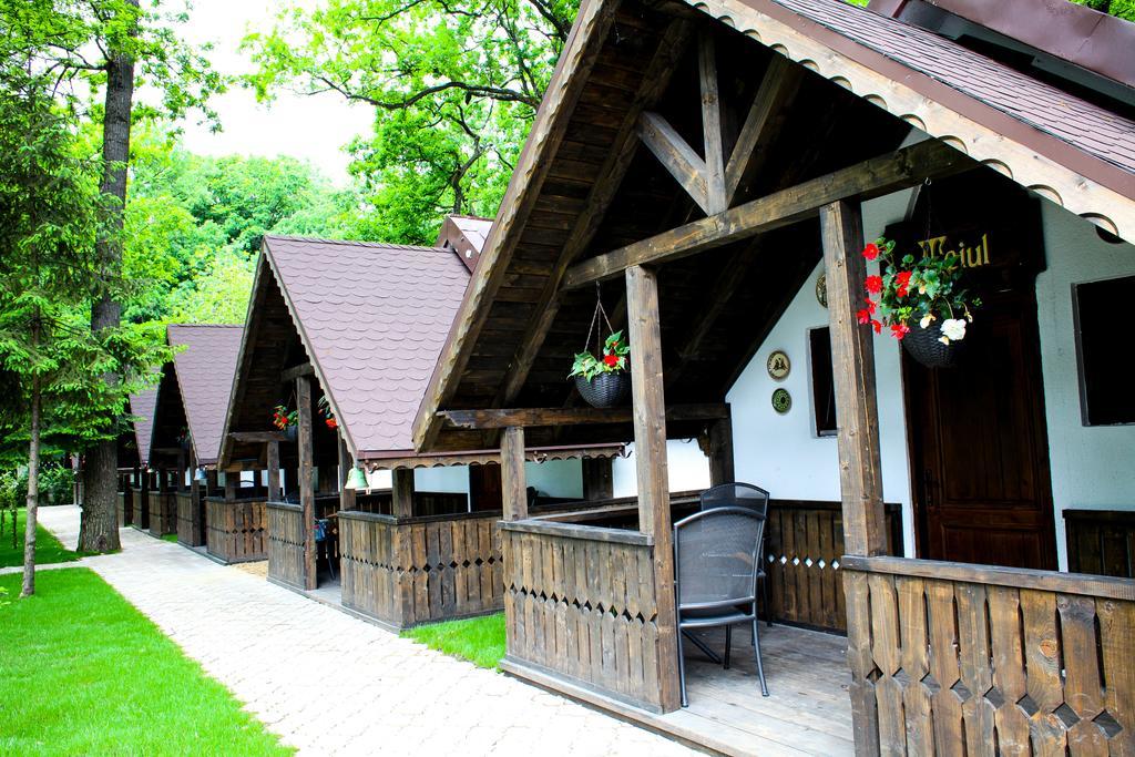 Cornul Vanatorului Bungalows Pitesti Exterior photo
