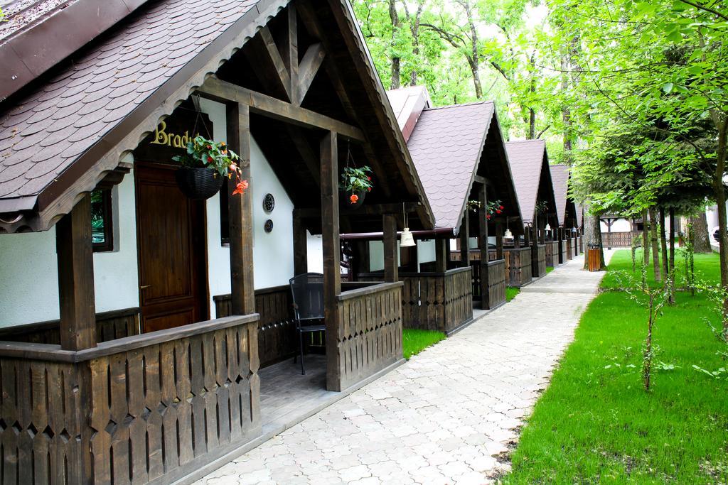 Cornul Vanatorului Bungalows Pitesti Exterior photo