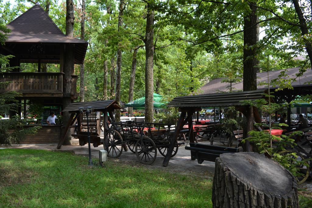Cornul Vanatorului Bungalows Pitesti Exterior photo