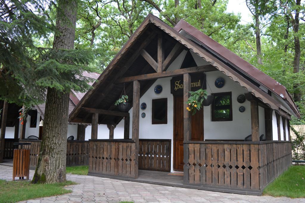 Cornul Vanatorului Bungalows Pitesti Exterior photo