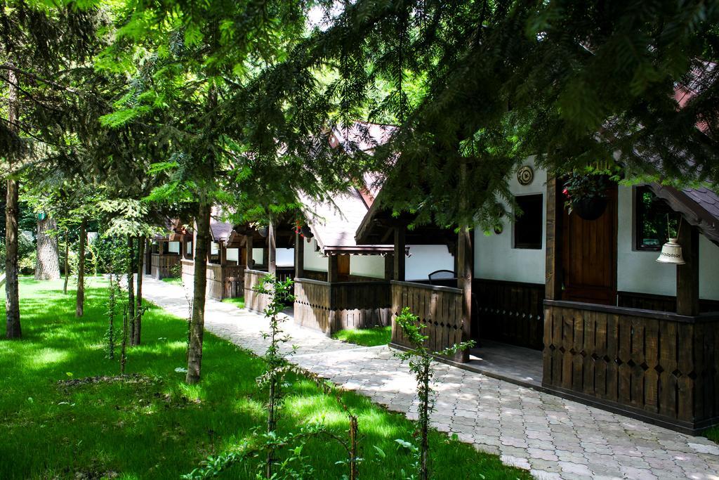 Cornul Vanatorului Bungalows Pitesti Exterior photo